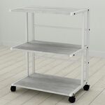 Етажерка на колесиках офісна Каміла-3