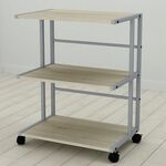 Етажерка на колесиках офісна Каміла-3